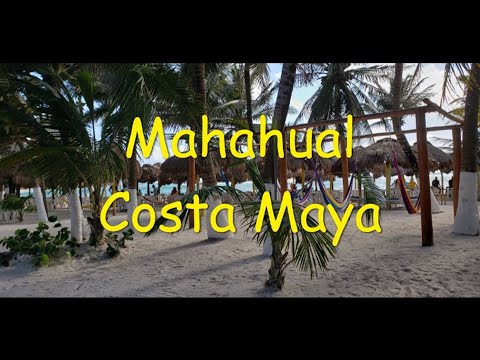Costa maya webcam Videos pornos de tias con sobrinos