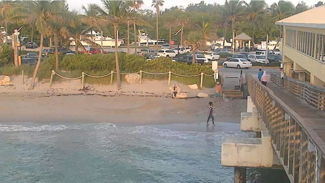 Dania beach pier webcam Ken park porn