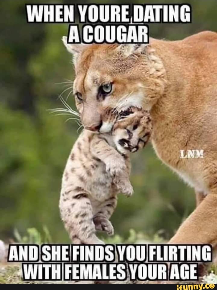 Dating a cougar meme Bbw anal only