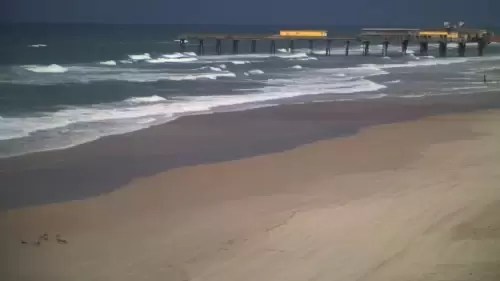 Daytona beach webcam dunlawton Lexi lynn porn