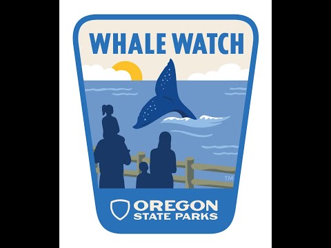 Depoe bay whale webcam Young brother and sister porn