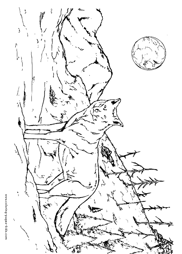 Detailed wolf coloring pages for adults Premature ejaculation one minute loser test free porn 5d