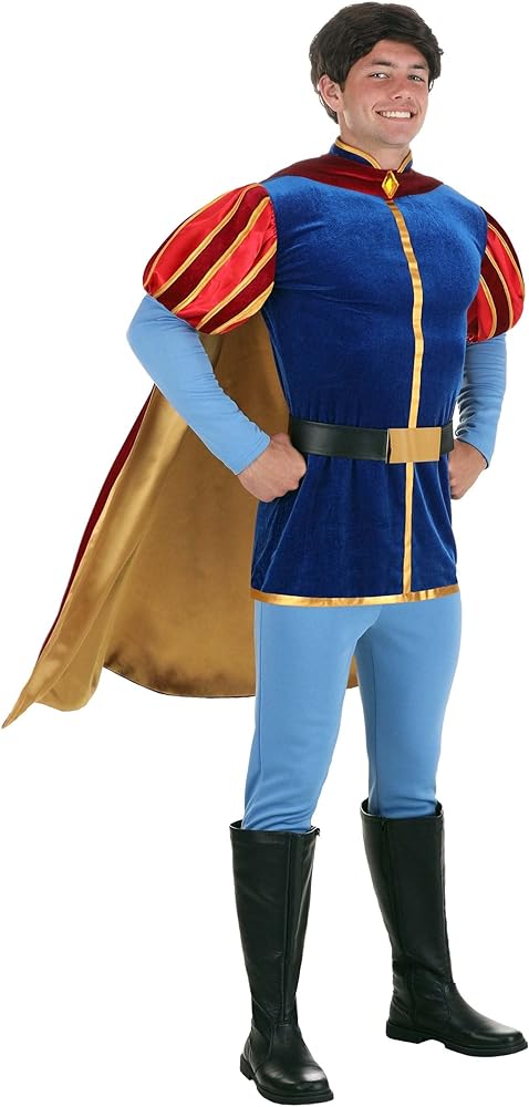 Disney prince costume adults Swing frame for adults