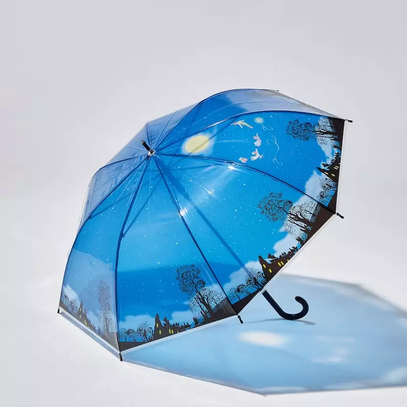 Disney umbrella for adults Christian churches for young adults