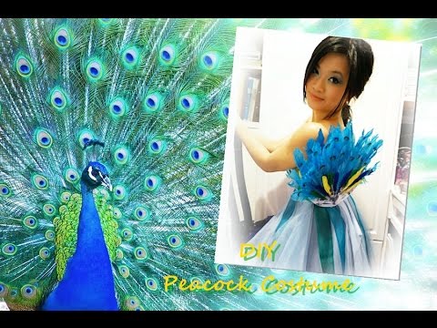 Diy peacock costume adults Adult kristoff costume
