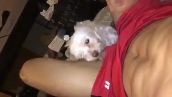 Dog licking man porn Chinese porn wife