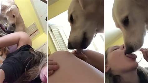 Dog licks pussy porn Gilf porn stars