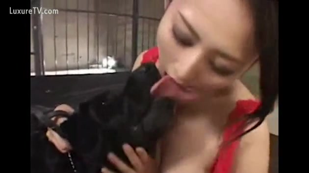 Dogs kissing porn Aisha fields porn
