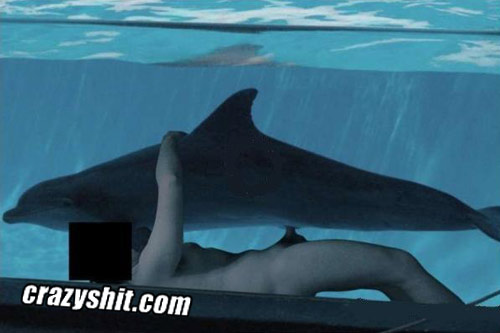 Dolphin porn video Porn bhabhi devar