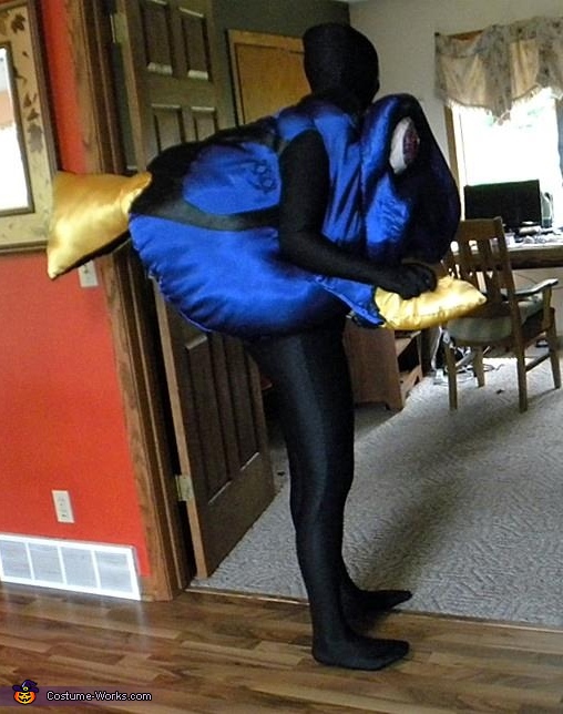 Dory costume for adults Roman femboy porn