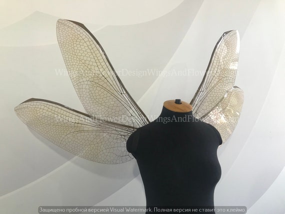 Dragonfly costume adult Showing panties porn