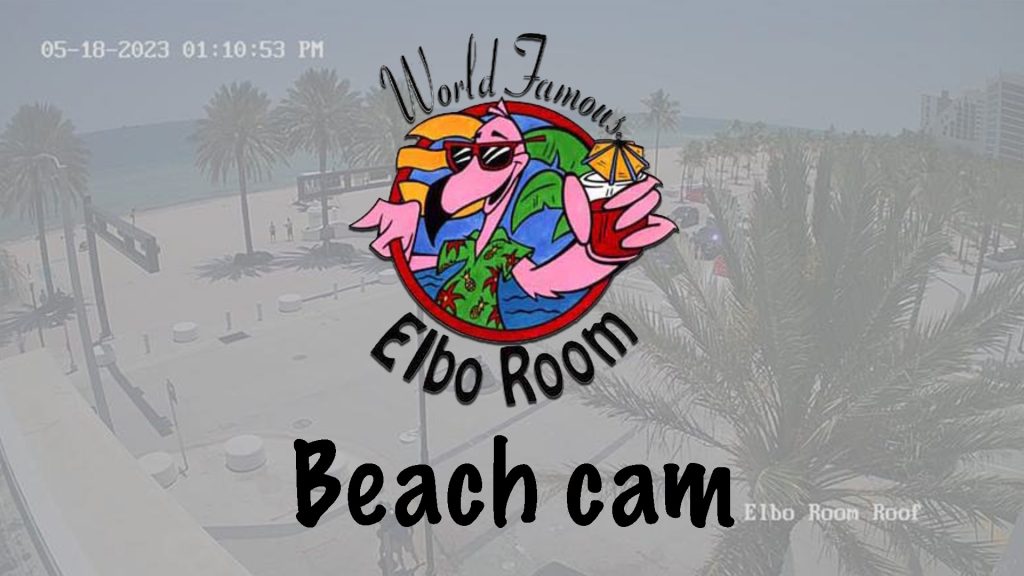 Elbo room fort lauderdale webcam Porn just for women