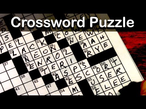 Escort crossword puzzle clue Adult speed flex