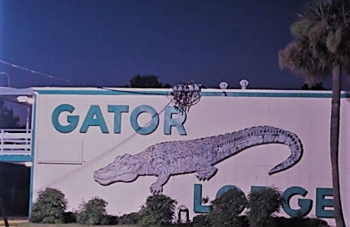 Escorts tampa alligator Xxx 20th