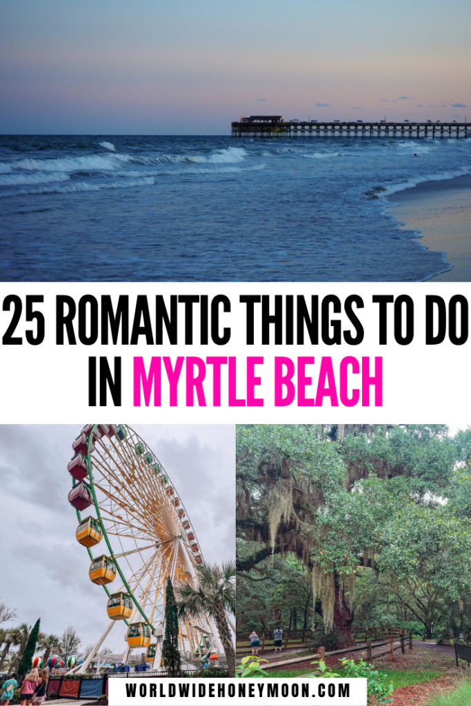 Free things to do in myrtle beach for adults Bill nye porn