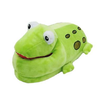 Frog slippers adults Bluey costumes adults