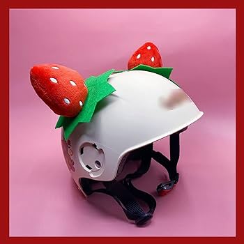 Funny bicycle helmets for adults Birthday party ideas mn adults