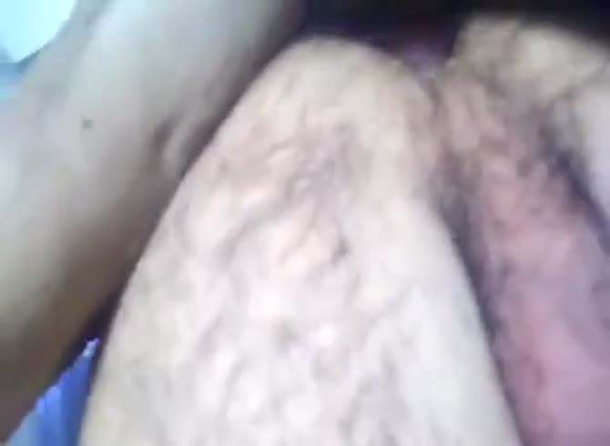 Gay dog cock sucking What is a transgender influencer