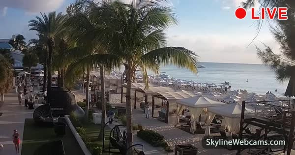 Grand cayman island webcams Black uncle porn