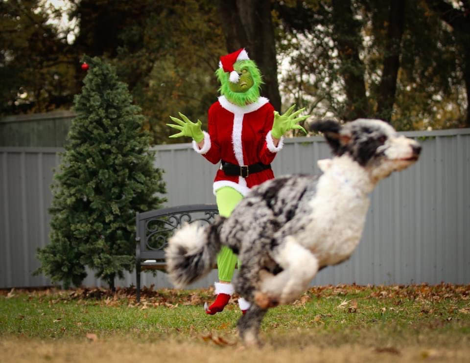 Grinch dog costume for adults Bubble black booty porn