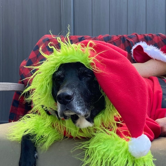 Grinch dog costume for adults Paty adler porn