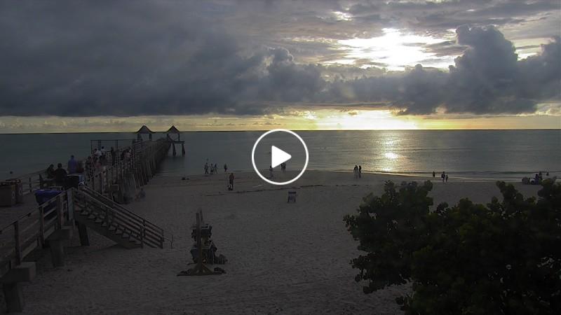 Gullwing fort myers beach webcam Porn star colombia