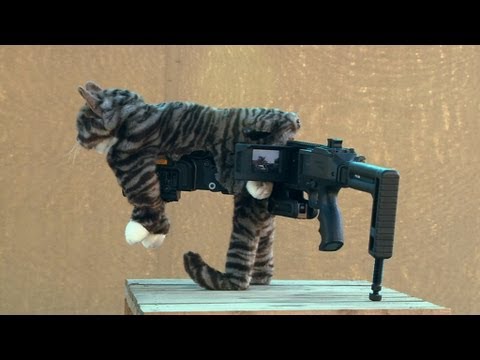 Gun in pussy Pmaya porn