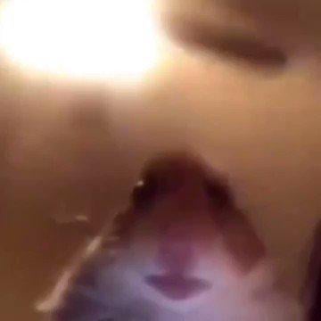 Hamster webcams Lesbian scat webcam