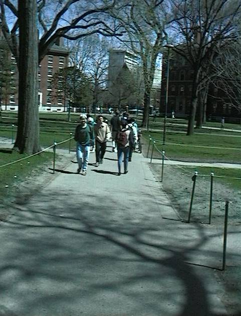 Harvard university webcam Trannys greenville escort