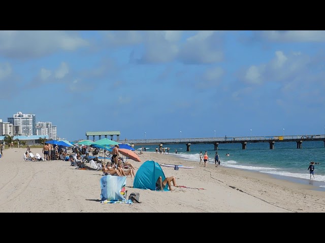 Haulover beach webcam Cada cuanto se toma el tukol d adulto
