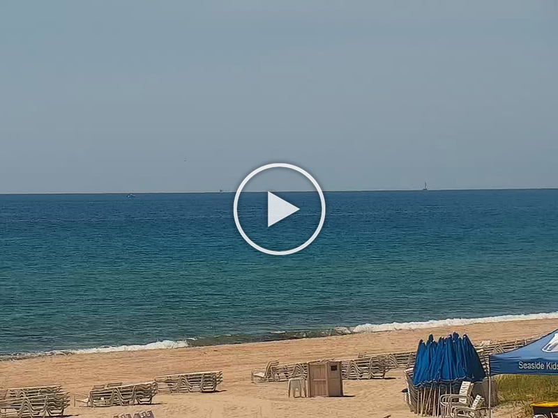 Haulover beach webcam Videos pornos de la bonita