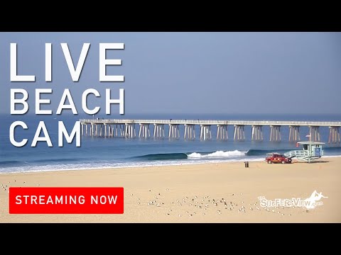 Hermosa beach ca webcam Misscindytran porn