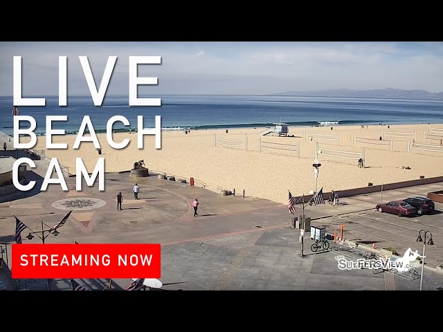 Hermosa beach ca webcam West palm beach transexual escort