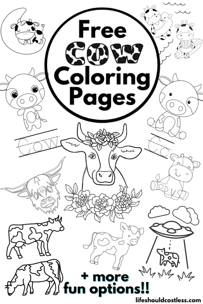 Highland cow coloring pages for adults Razor dune buggy for adults