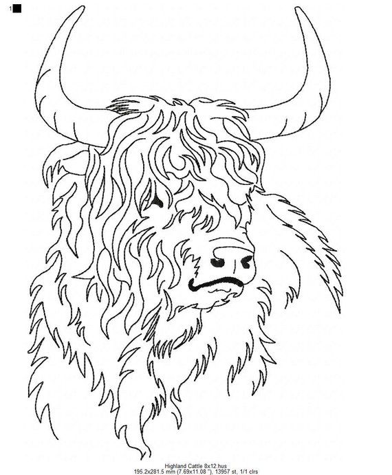 Highland cow coloring pages for adults Selah rain anal