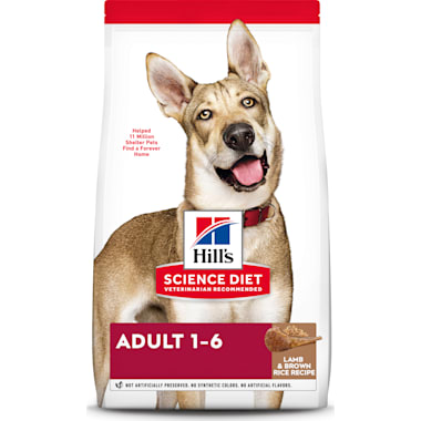 Hill s science diet adult perfect digestion salmon dry dog food Trina mcgee porn