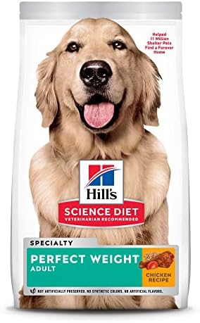 Hill s science diet adult perfect digestion salmon dry dog food Botw porn