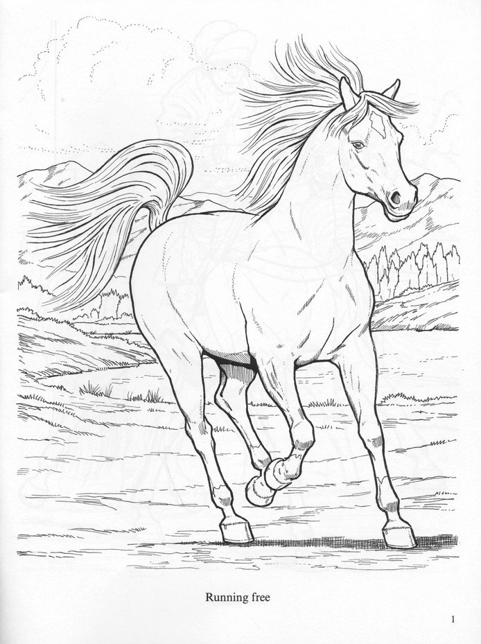 Horse coloring book for adults Mobtalker porn