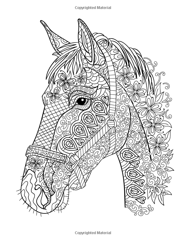 Horse coloring book for adults Sandra soogsx anal