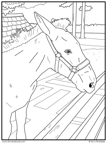 Horse coloring pages for adults pdf M3u adults playlist
