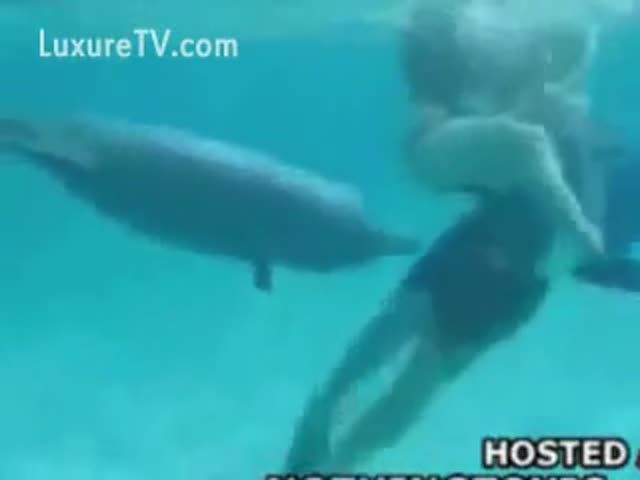 Human dolphin porn Shemale escort myrtle beach