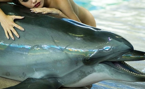 Human dolphin porn Shemale escorts in houston tx