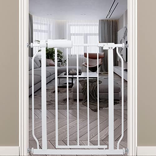 Indoor safety gates for adults Porn star stallion