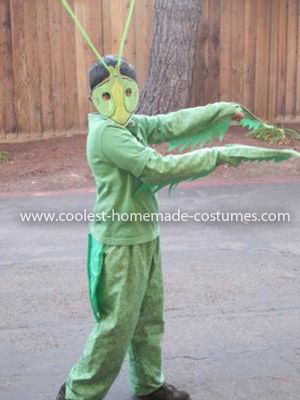 Insect costume ideas for adults Redhead amature anal
