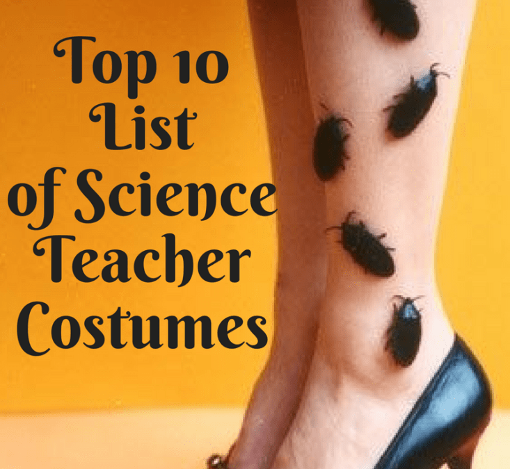 Insect costume ideas for adults Kelly carter escort