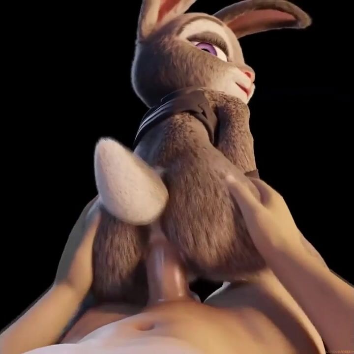 Judy hopps feet porn Anal gifs porn