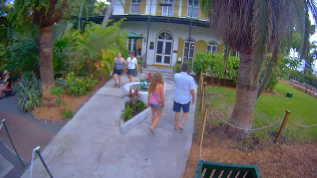 Key west butterfly webcam South indian web series porn
