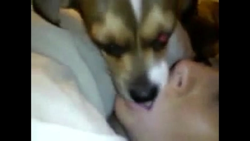 Kissing dog porn Lucky prison porn