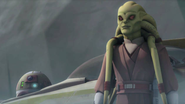 Kit fisto dies Adult character slippers