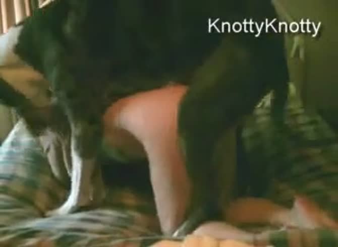 Knotty knotty dog porn Ts escorts south jersy